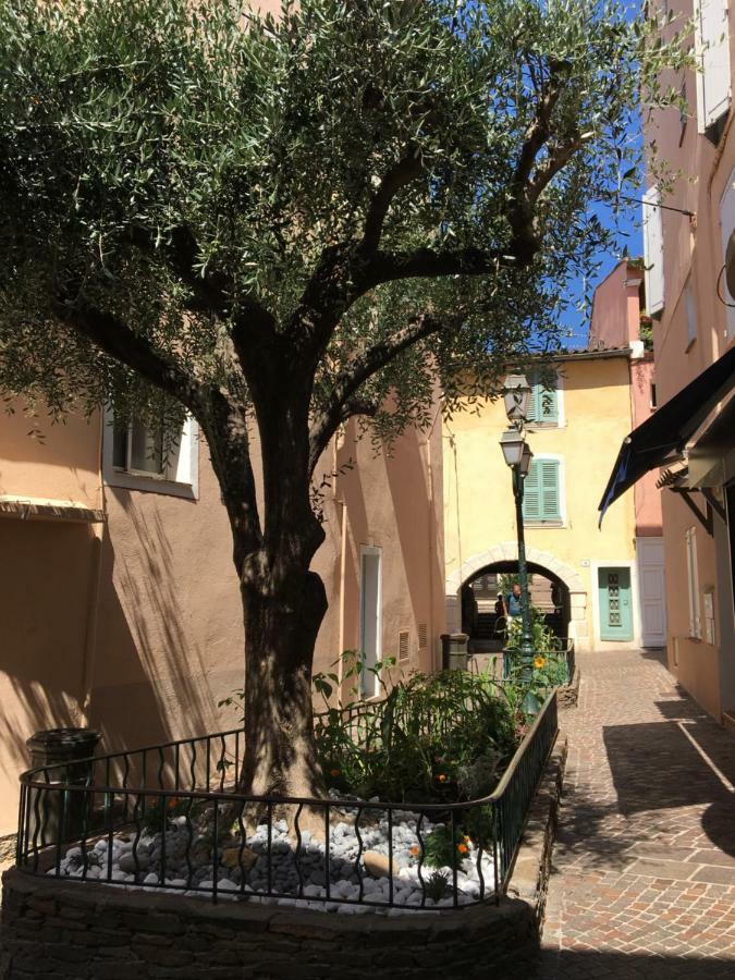 Bastide Du Levant 생트막시메 외부 사진