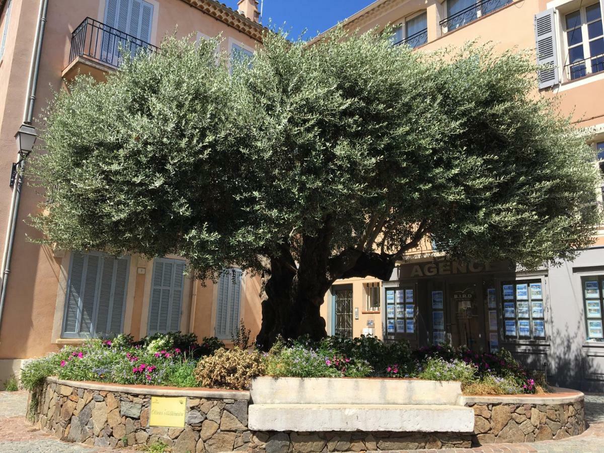 Bastide Du Levant 생트막시메 외부 사진